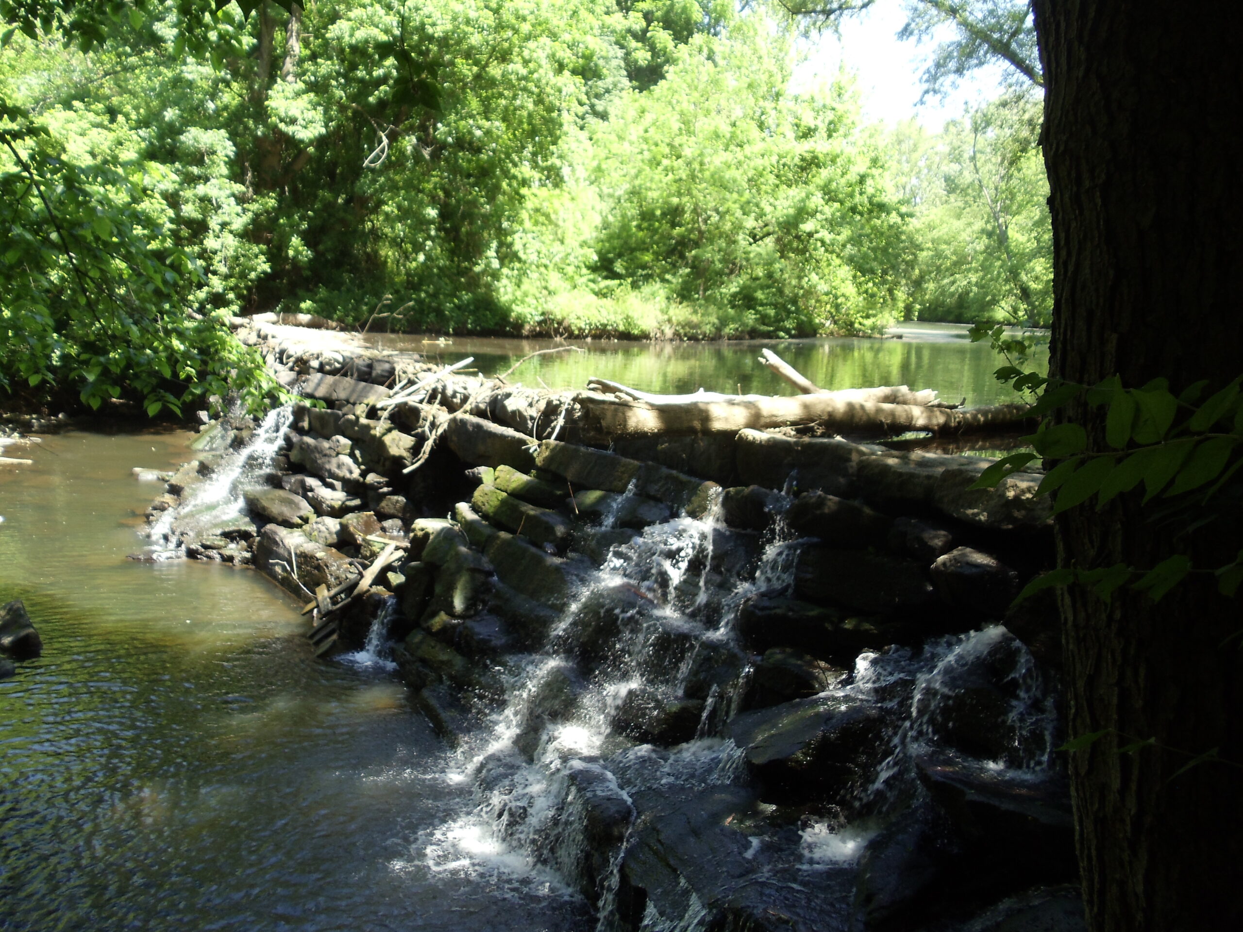 Delaware County still on DEP ’drought watch’