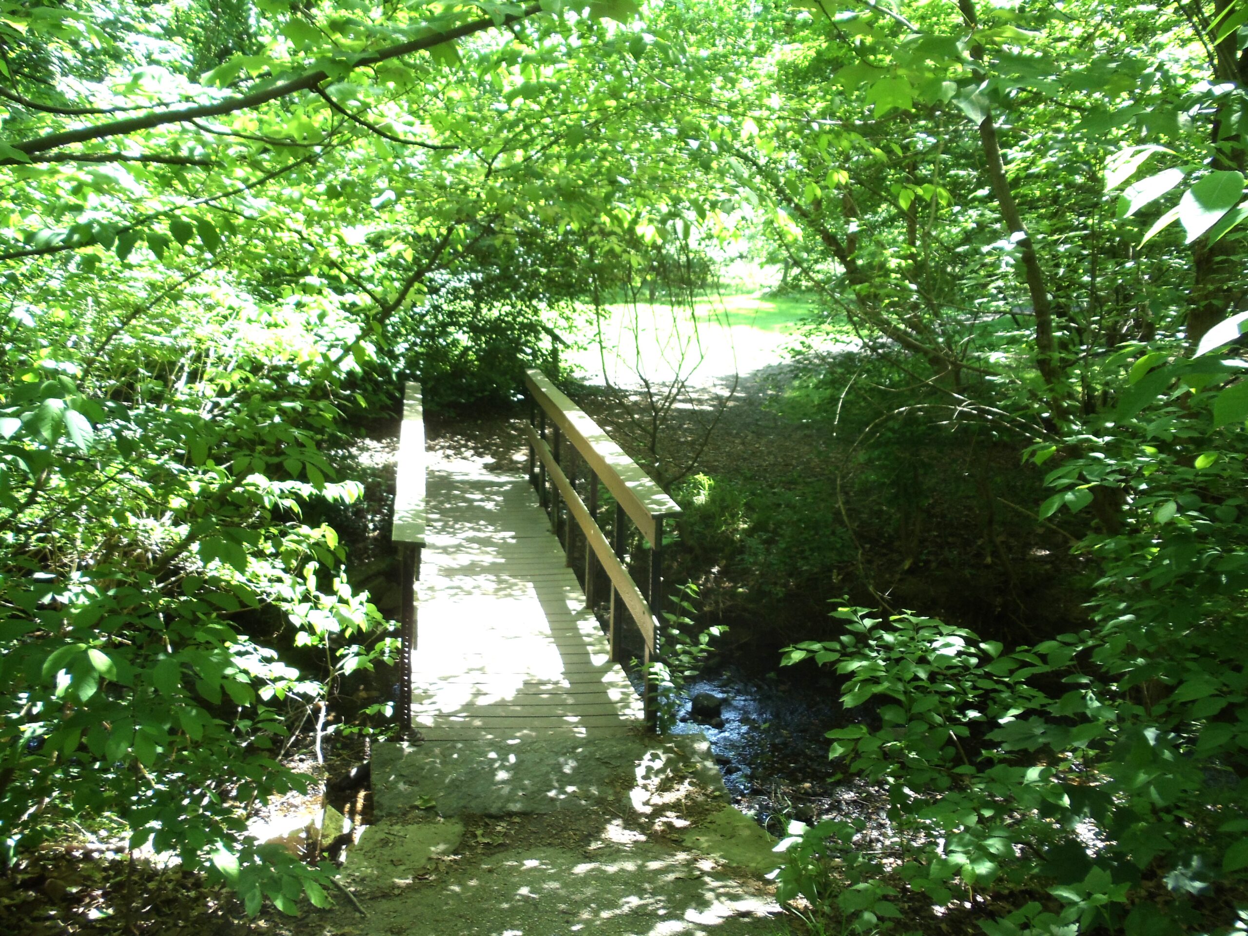 How do our local streams measure up in the state’s water quality assessments?