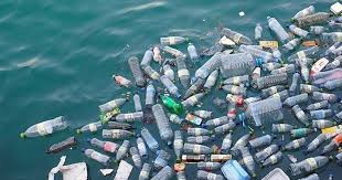 What Can We Do About Plastics in Our Waterways and Our Food Chain?