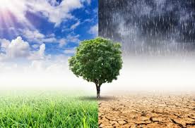Public has until Sept. 2 to comment on DOE report finding increased CO2 is ‘greening the planet’