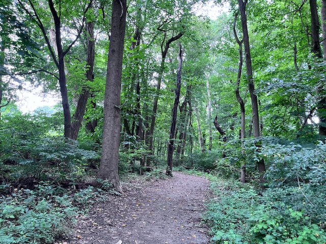 The Sustainable Communities Hub is here! Use it to guide your town’s EAC or start one