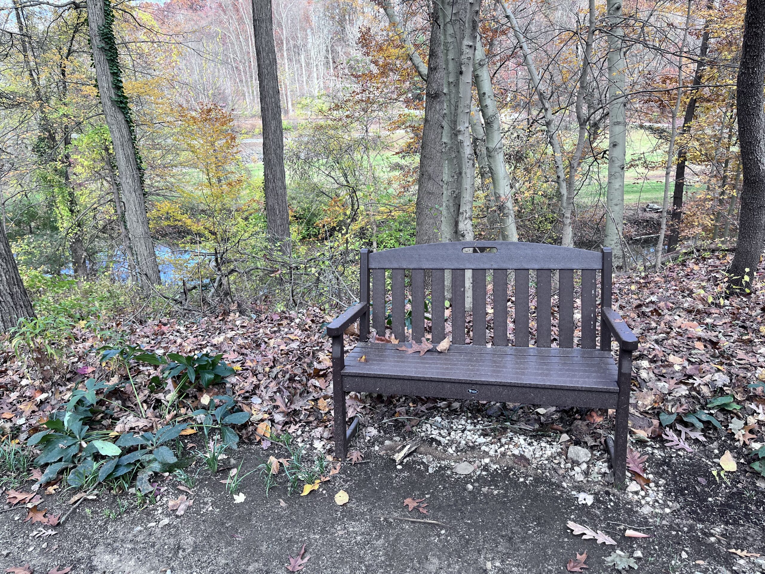 Master Gardeners clean up plastic in Smedley Park to turn into benches