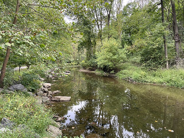 Sierra Club “Seedlings” essay contest open to school age aspiring writers