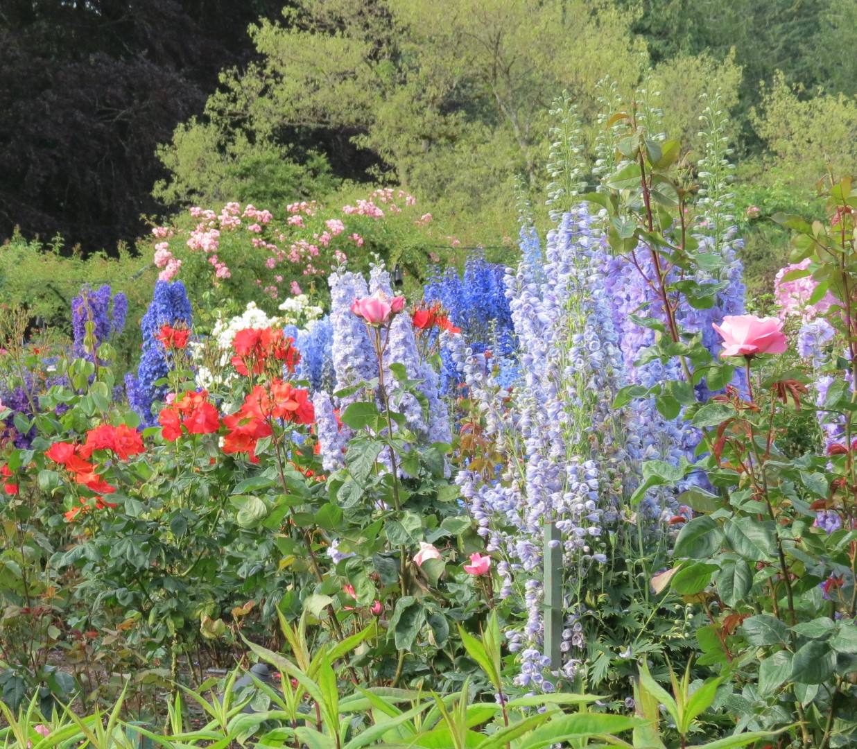 You can join Penn State Extension’s 35th Annual Garden Contest