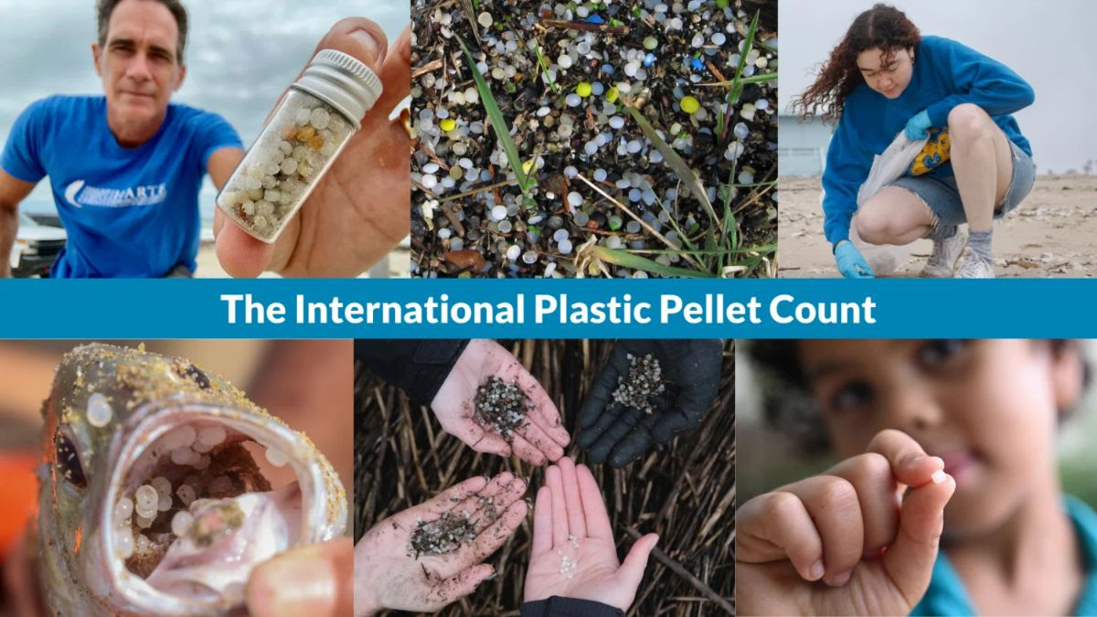 Internat plastic pellet count May 2026