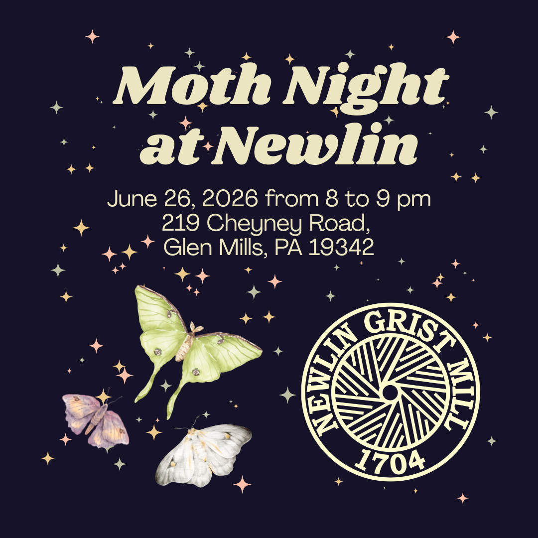 Moth Night June 2026 Newlin