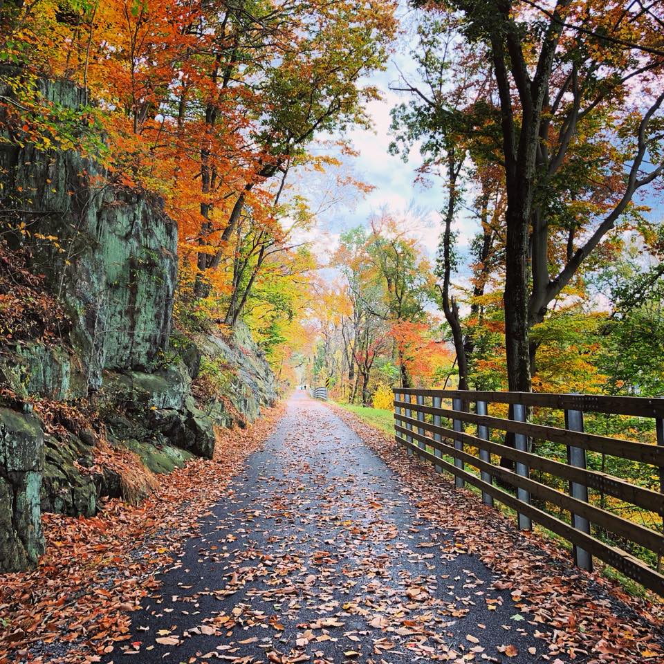 Delaware County Cuts Ribbon on Chester Creek Trailhead Improvements