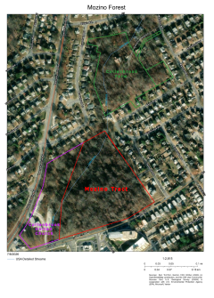 U.D. TWP. COUNCIL MEETING REGARDING THE MOZINO FOREST