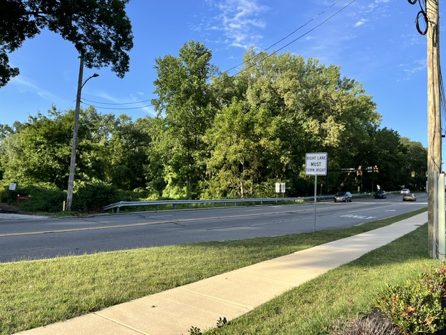 Mozino Tract defenders call for Upper Darby Council to save the 15-acre forest