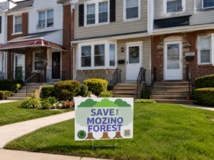 Save Mozino sign