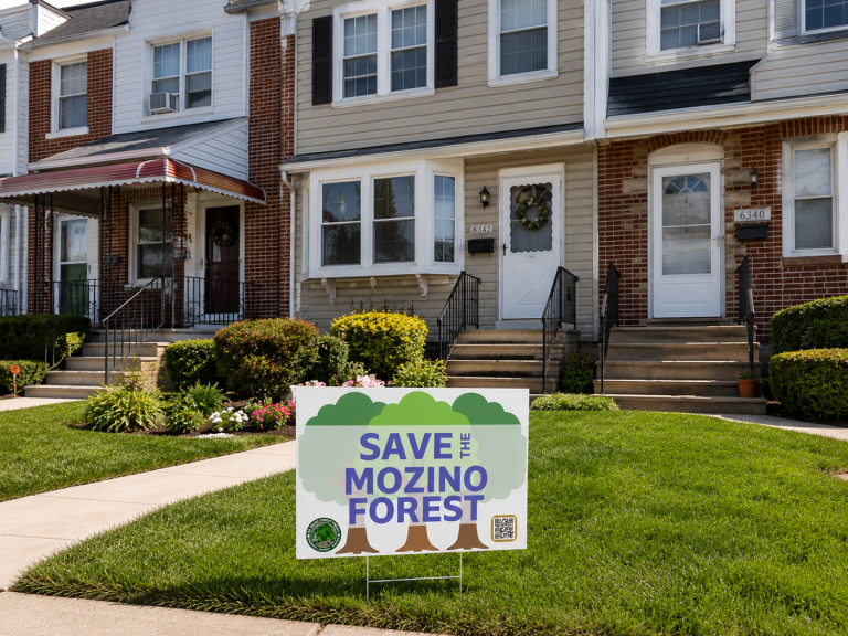 Mozino developer willing to sell in ‘ballpark’ of $8 million